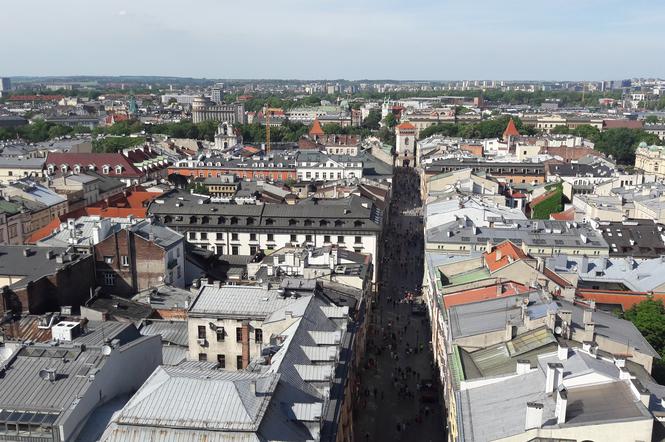 Kraków znalazł się w czołówce miast z pozytywnym saldem migracji
