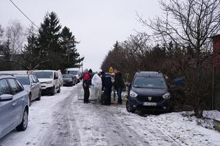 Potężna pseudohodowla pod Inowrocławiem! Zwierzęta cierpiały od lat