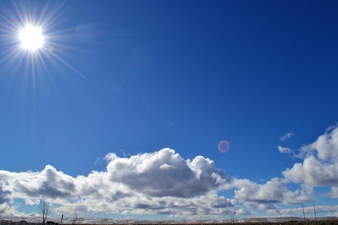 Rekordy temperatur w Polsce. Jak radzą sobie z nimi kielczanie?