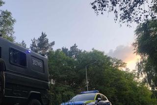 Znaleźli w lesie małe dziecko. Nikt jeszcze nie wiedział, że zaginęło  