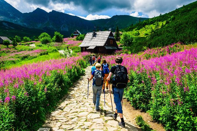 Region karpacki: etnolingwistyka i studia kulturowe (0,6 osoby)