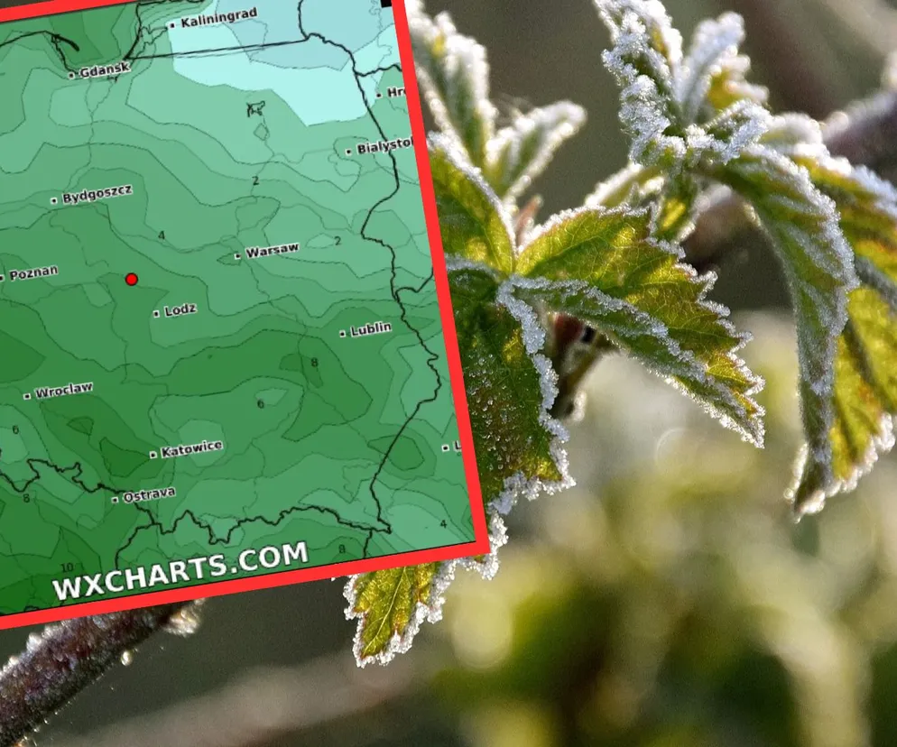 To będzie uderzenie zimna w Polsce! Ochłodzenie, przymrozki i opady deszczu