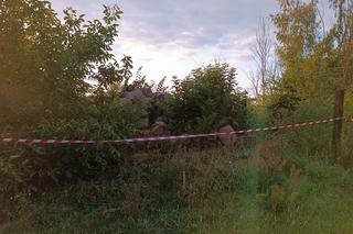 Żmieje zadomowiły się wśród traw w pobliżu domu. Obok bawiły się dzieci 