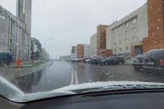 Śnieg w Rzeszowie [GALERIA]