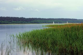 To jezioro na Mazurach jest niemal nietknięte przez człowieka. Nie wolno tam nawet krzyczeć