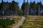 Beskid Śląski, szlak na Baranią Górę 