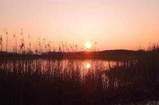 Wyschnięte jezioro w Skrzatuszu pod Piłą