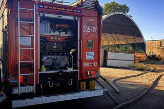 Pożar pod Krosnem Odrzańskim w Lubuskiem