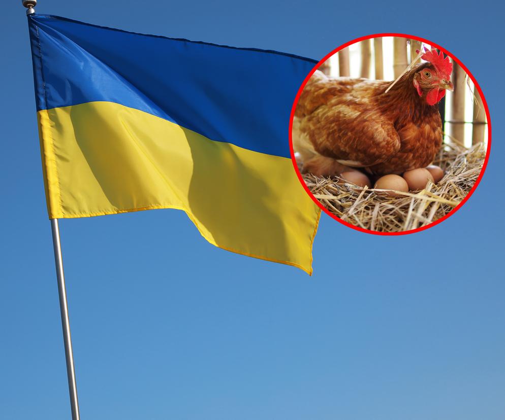 Ukraina zakazuje importu polskiego drobiu i jaj