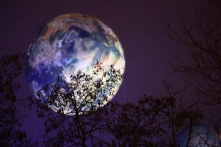 Promocja filmu „Rebel Moon” Netflixa w Lublinie