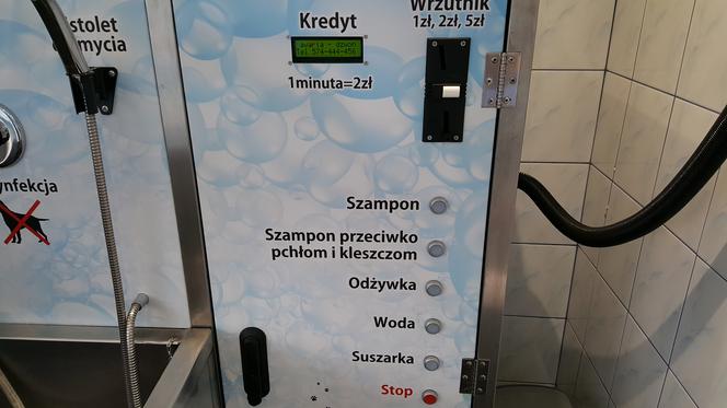 Samoobsługowa Myjnia dla Psów w Sosnowcu