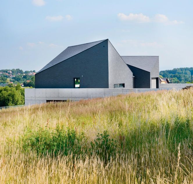 Nietypowe bryła i wnętrza śląskiego domu