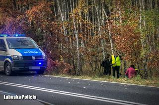 Potrącił go i zostawił w lesie na śmierć. Siercz