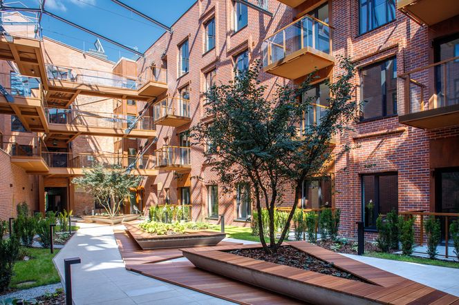 Warzelnia - Bohema Strefa Praha