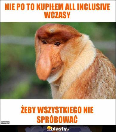 Wakacje all inclusive. Oto najlepsze memy tego lata!