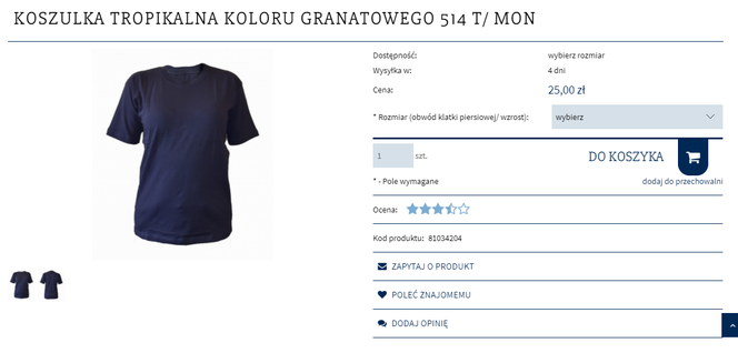 Agencja Mienia Wojskowego wyprzedaje sprzęt. To można kupić od wojska!
