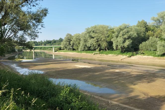 Susza w Bieszczadach. Niepokojące zdjęcia Sanu [FOTO]