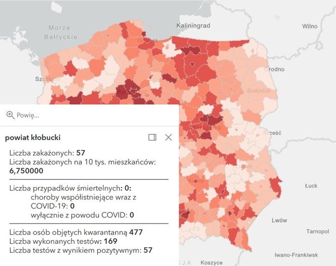 Koronawirus w województwie śląskim. Tak wygląda sytuacja w poszczególnych powiatach [RAPORT, 19 MARCA]