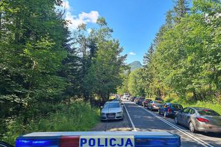 Policja odholowuje zaparkowane w Tatrach samochody