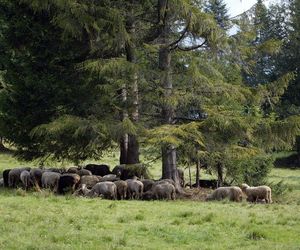 Długi weekend czerwcowy 2025. Gdzie pojechać na Boże Ciało?