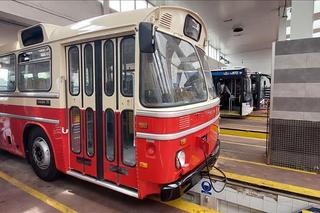 W PRL-u każdy o nich marzył, do Krakowa trafiły używane. Kultowe scanie wyremontowane przez MPK