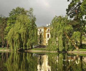Gęstość zaludnienia w Polsce. W tych miejscowościach żyje się jak w ulu
