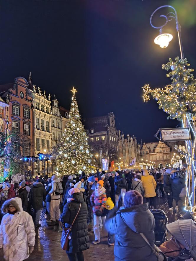 Gdańska choinka rozbłysła. Zobaczcie nasze zdjęcia!