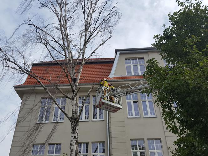 Strażacy przy Szkole Podstawowej nr 3