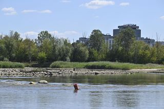 Alarm! Wisła wysycha na naszych oczach. Katastrofalny poziom wody w Warszawie