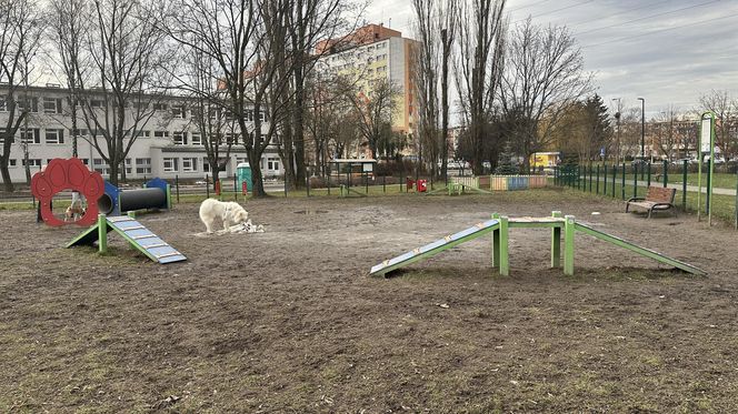 Psi park na ul. Żubardzkiej w Łodzi