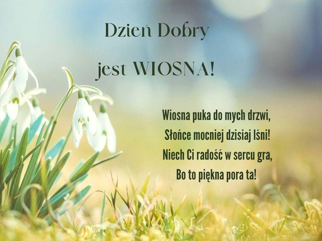 Dzień wiosny - kartki z życzeniami