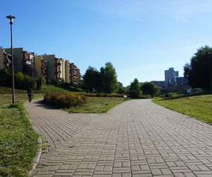 Filary porośnięte bluszczem w Lublinie! Tak się prezentują w jesiennej odsłonie