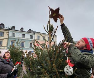  Zamojskie przedszkola i szkoły dekorowały choinki