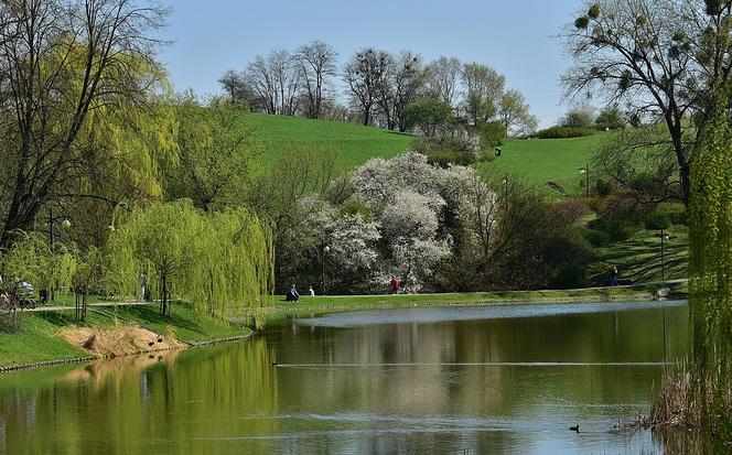 Park Moczydło