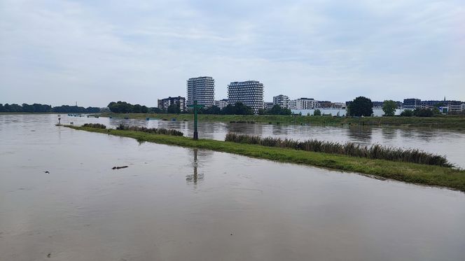 Fala powodziowa we Wrocławiu. Pod wodą są już beach bary i drogi 