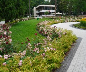 Park Zdrojowy w Busku