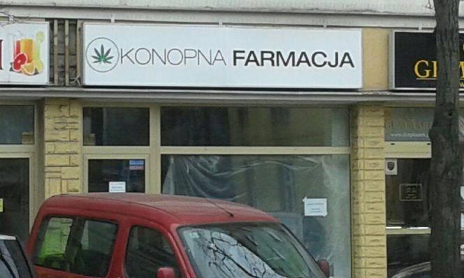 W Gdyni powstaje właśnie Konopna Farmacja