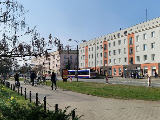 Historia wśród drzew! Tak żyje się na osiedlu Leśnym w Bydgoszczy