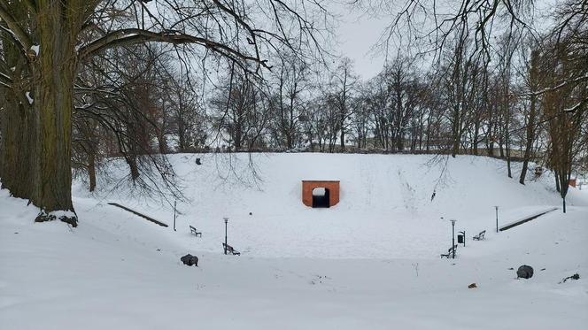 Zamojski Park pod śniegiem