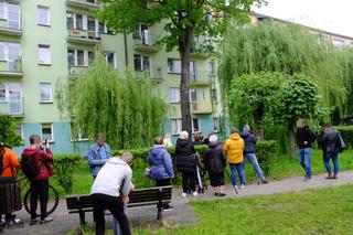 Cud w Parczewie! Pielgrzymki do świętego drzewa, stoją z różańcami pogrążeni w modlitwie