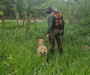 Zaginięcie Marty Gromady z Myszkowa. Służby użyły psów do poszukiwań zaginionej kobiety