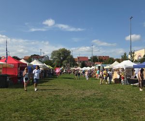 Festiwal Wisły 2025 znów podbił serca bydgoszczan! Tłumy w Starym Fordonie