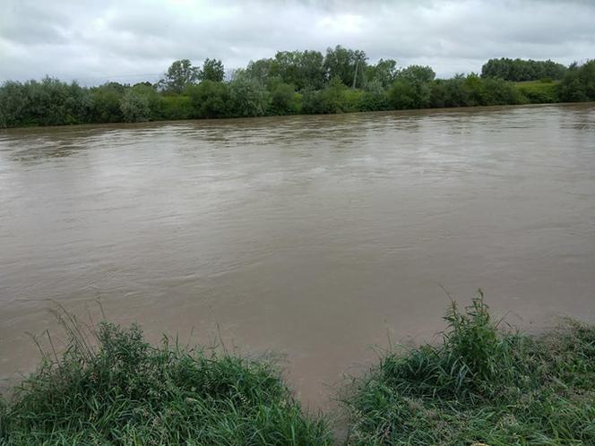 Wysoki Dunajec pod Tarnowem! Biała przy Azotach też przybiera