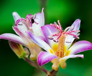 Nieoklepane życzenia imieninowe dla Filipa. Te oryginalne propozycje to to, czego szukasz