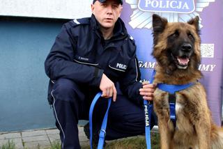Łódzkie: Policyjny pies Kozik WYWĘSZYŁ ZAGINIONEGO!