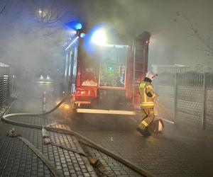 Stolarnia pod Bydgoszczą stanęła w płomieniach! Ogromne straty i wielki smutek [ZDJĘCIA]