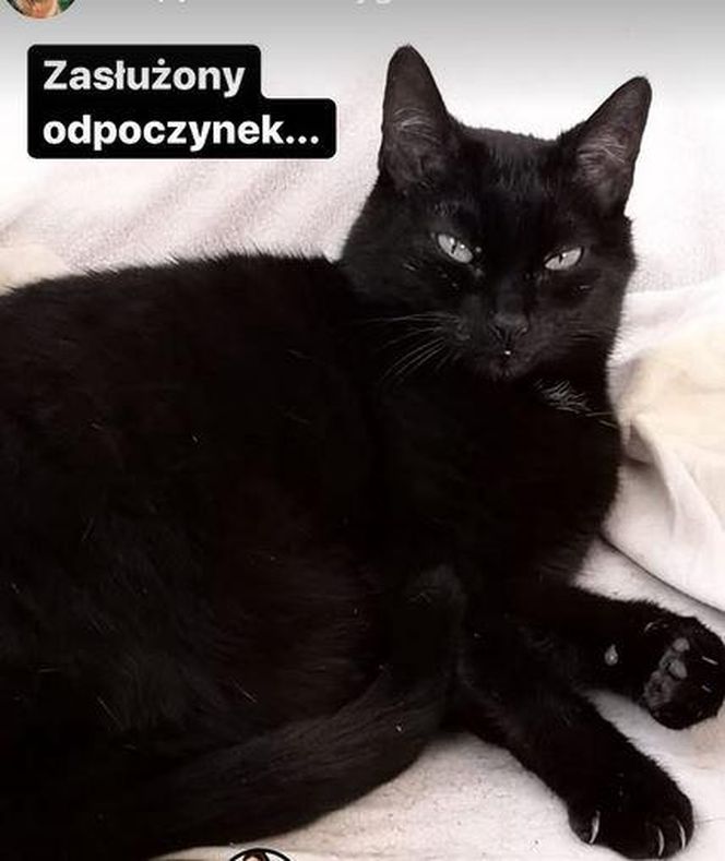 Iga Świątek opłakuje śmierć kotki Grappy