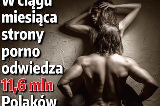FAKTY O PORNO_2