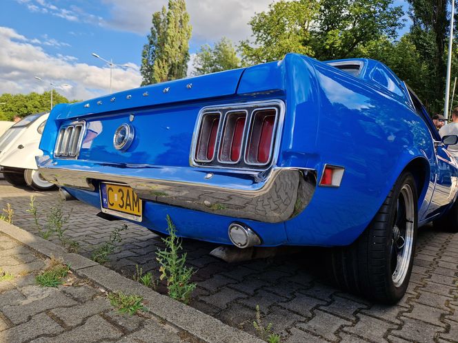 Zabytki pod chmurką. Bydgoskie Klasyki znów przyciągnęły tłumy pod Torbydem