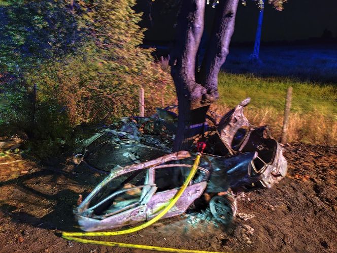 BMW uderzyło w drzewo i zapaliło się, Zginęła jedna osoba!